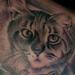 Tattoos - Black and Gray Sitting Kitty - 71957